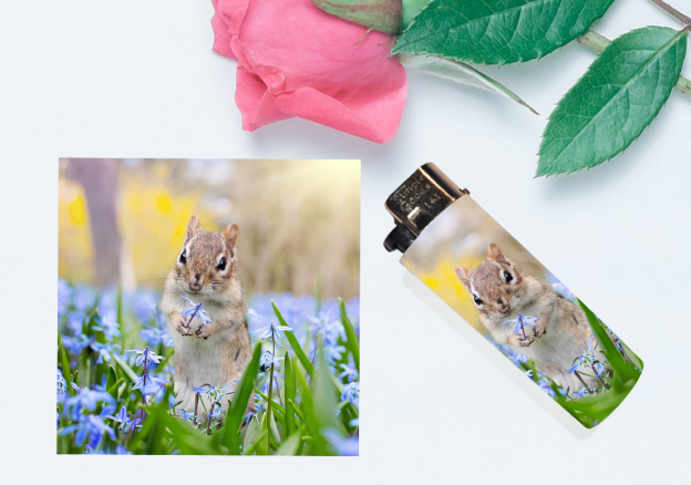 Squirrel Lighter Wrap